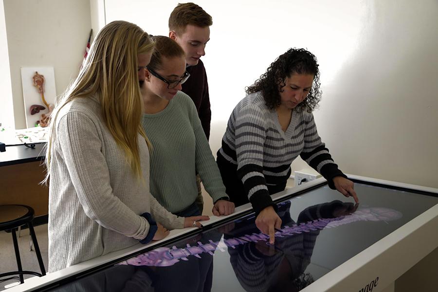A professor shows some biochemistry students a 3D model of a human spine.