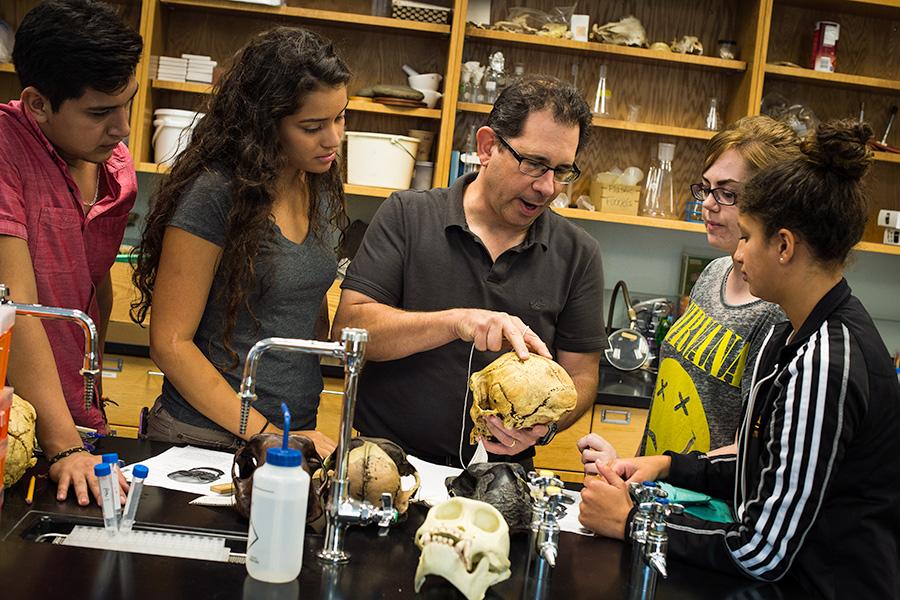 Dr. Stabile shows a group of students a skull in his biology class.