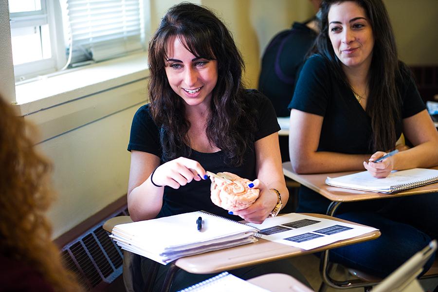 A student studying neuroscience holds a model of a brain while sitting in a desk in the classroom.