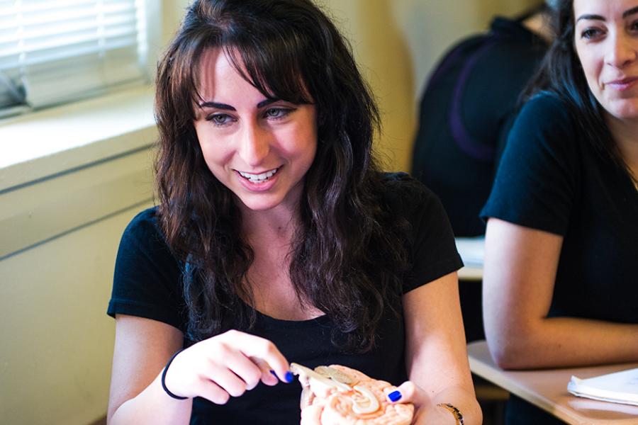 A student studying neuroscience holds a model of a brain while sitting in a desk in the classroom.