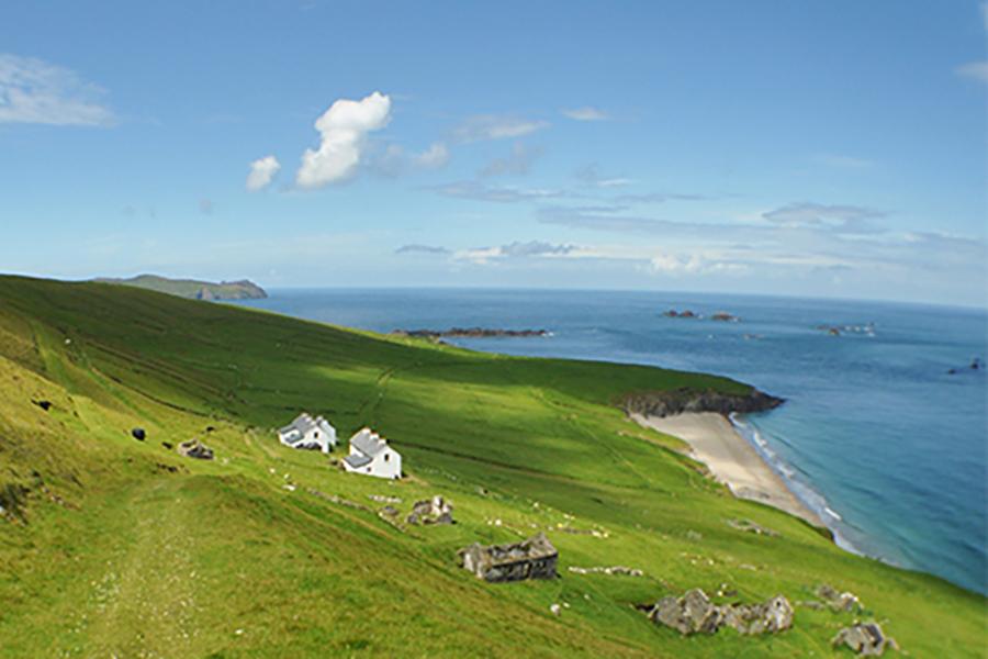 Small white houses dot the coast of Dingle, Ireland.