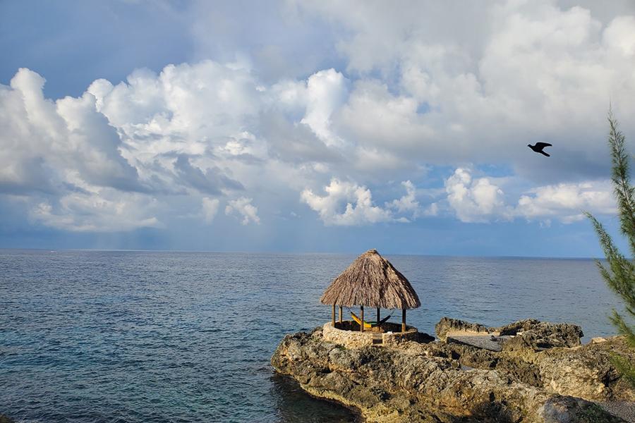 A hammock with a canopy on the coast of Jamaica.