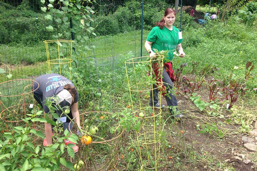 Two students work in the on-campus garden.