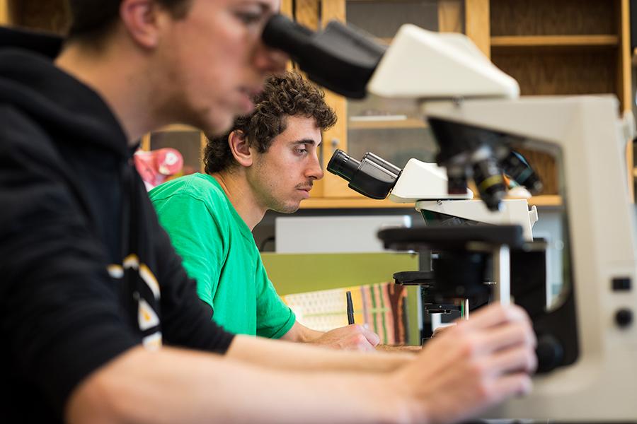 An environmental science student looks into a microscope.