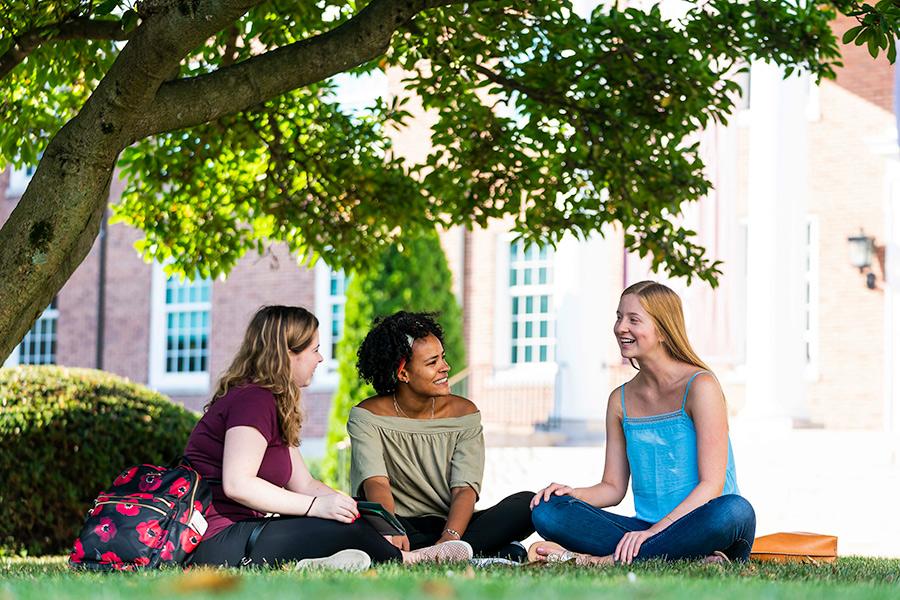 Three students sit under a tree on the grass and have a philosophical discussion.