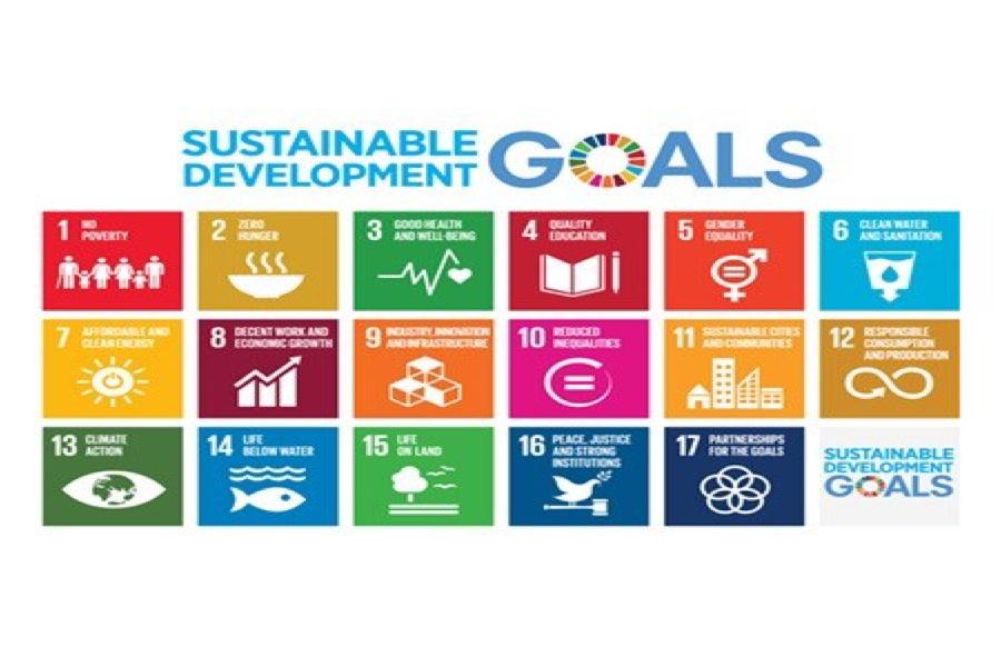 Sustainable development goals info graphic.