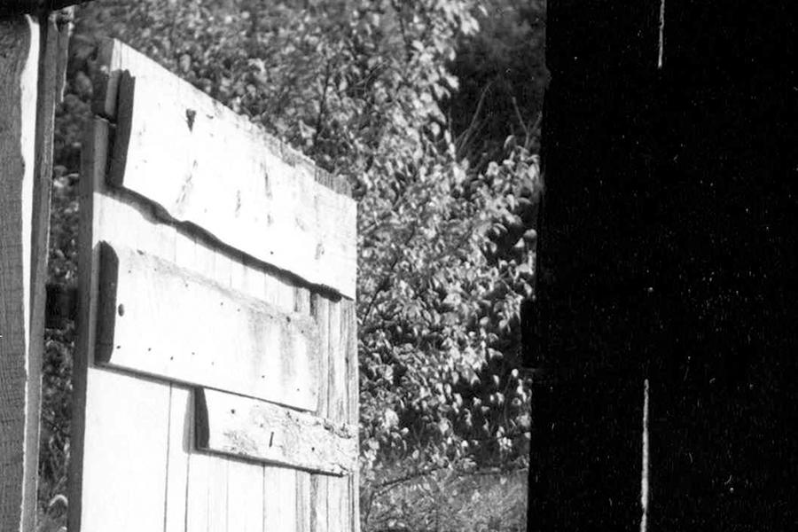 Hidden Wholeness photo of a door leading out to a garden.