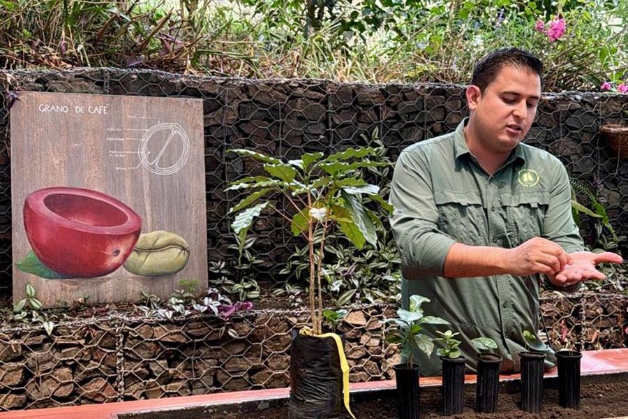Chairman Cafe Britt sorting beans - Costa Rica Study Abroad trip