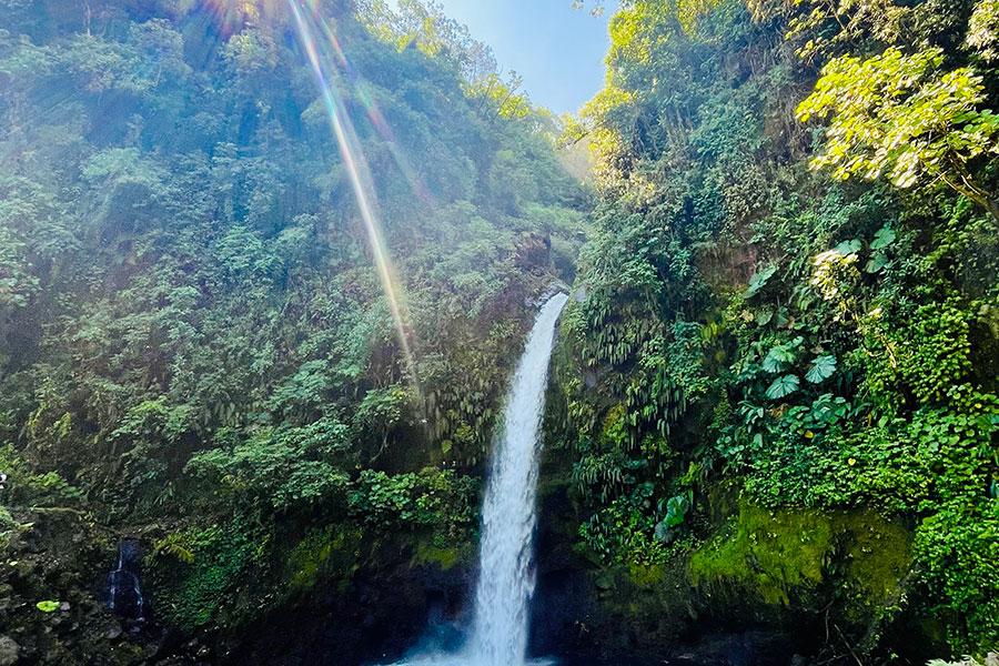 Waterfall in rainforest - Costa Rica Study Abroad trip