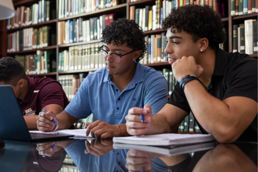 Student studying in Ryan library