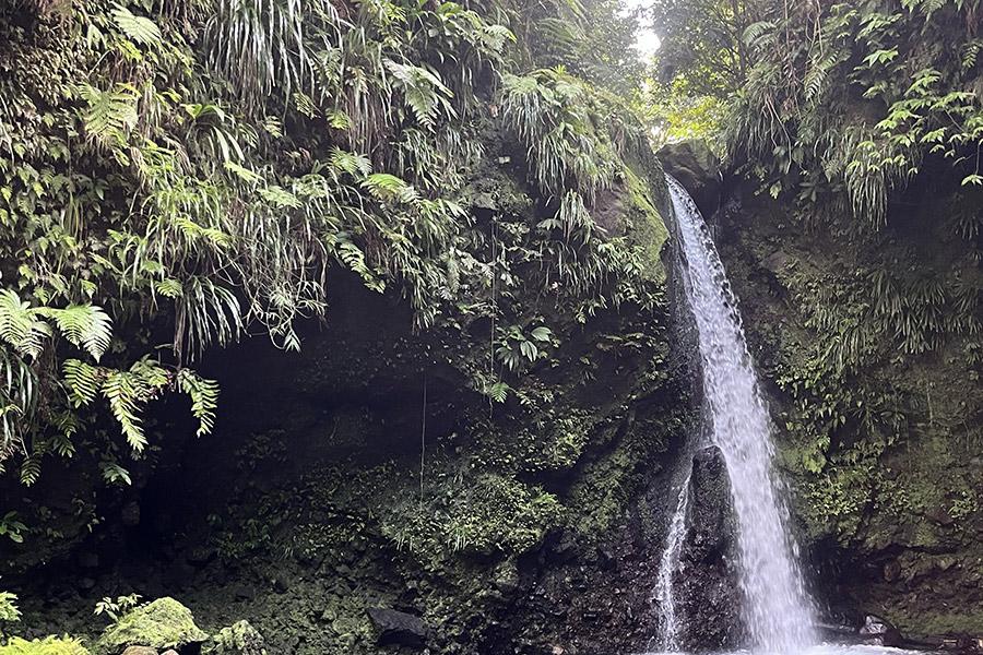 Dominica's Spanny Falls cascading into a clear natural pool surrounded by lush green tropical foliage and rock walls.