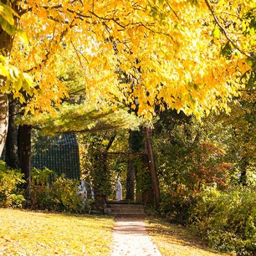 The path leading to 33 Pryer during the fall in the sunshine.