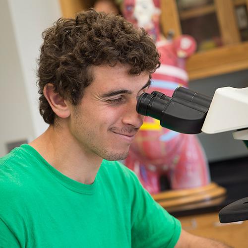 A student in a green shirt looks into a microscope during Biology class.