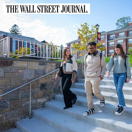 Students walk down the steps of Murphy Green on a sunny day.