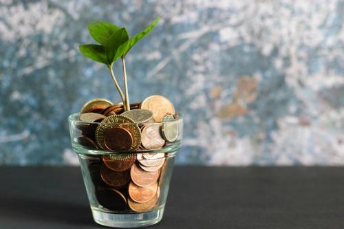 A plant is growing in a small pot filled with coins.