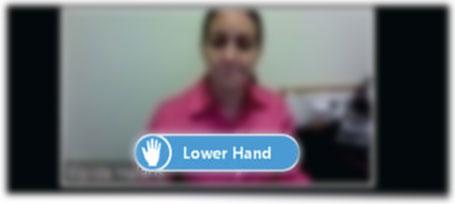Lower Hand (Zoom)