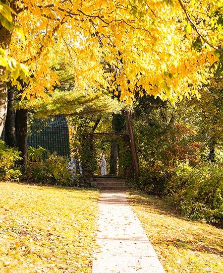 The path leading to 33 Pryer during the fall in the sunshine.