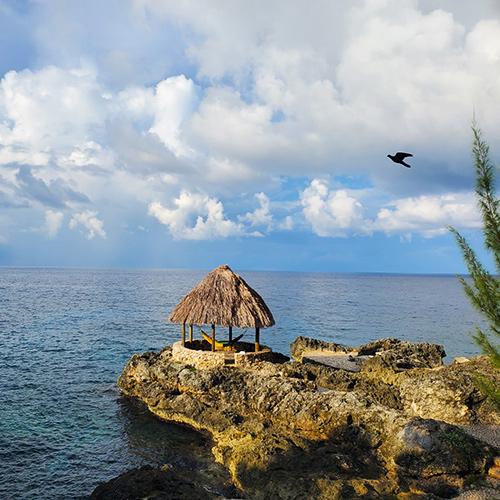A hammock with a canopy on the coast of Jamaica