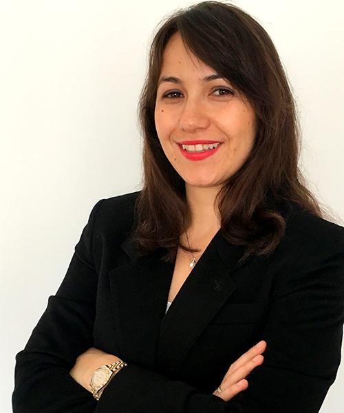 Zeynep Altinay, Ph.D.