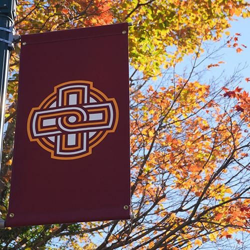 An Iona banner with autumn leaves in the background.