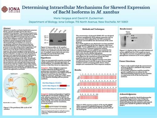 Maria Vargaya's poster presentation.
