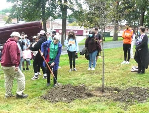 Sister Kathleen plants a tree.