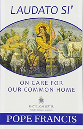 Laudato Si Book Cover