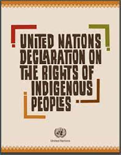 United Nations Declaration on the Rights on Indigenous Peoples.