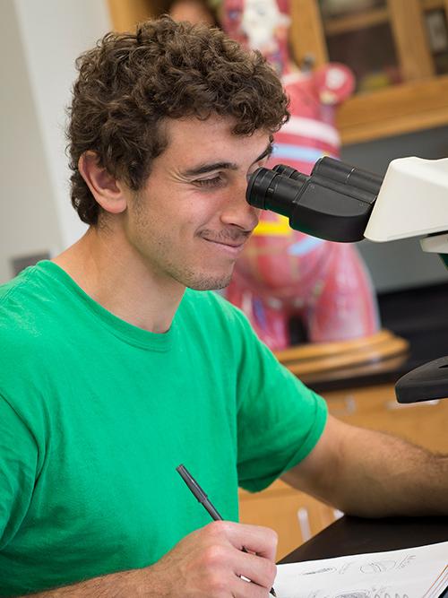 A student in a green shirt looks into a microscope during Biology class.