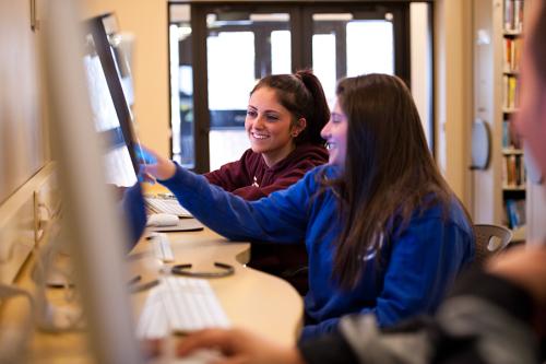 Students connect with advisors at a computer in the library.