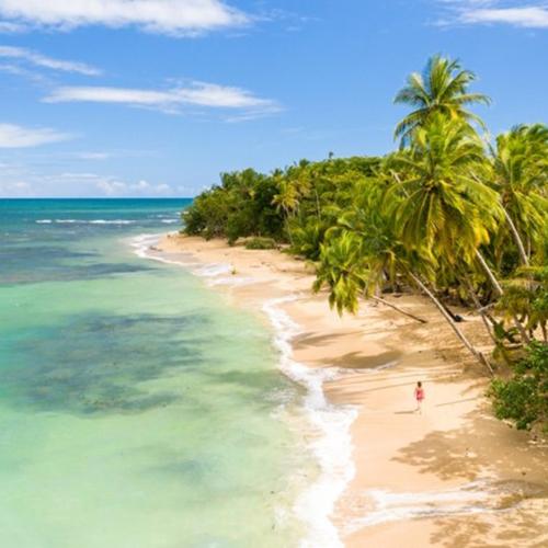 A beach in Costa Rica.