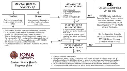 Student Mental Health Response Guide