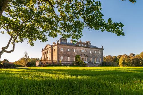 Westport House with a tree in the foreground.