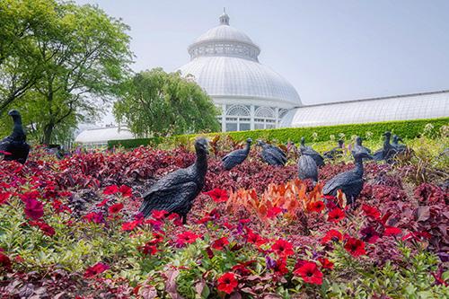 Botanical Gardens Art Show