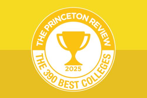The Princeton Review 390 Best Colleges logo.