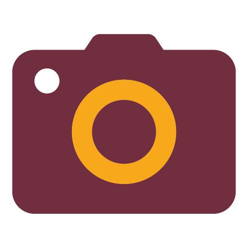 Photo Video Icon