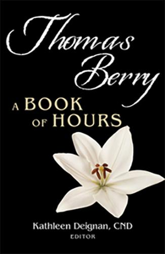 The Book of Hours cover.
