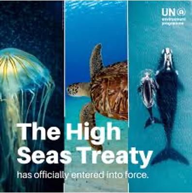 "The High Seas Treaty, has officially ended into force" flyer.